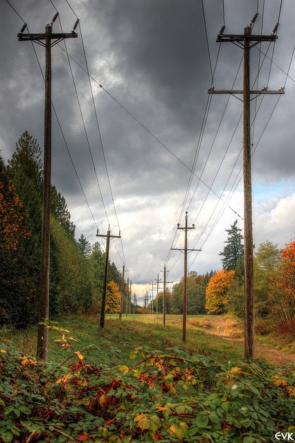 Substation Casterly Rock 400/220/110kV - Delivery and instalation of cables for DIGSI network for relay protections